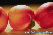 332004.jpg