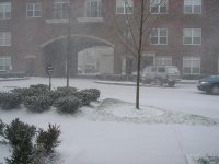 snow1.JPG