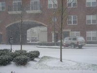 snow2.JPG