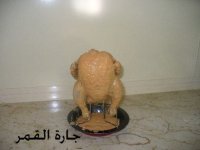 الدجاجة علي الشواية.jpg
