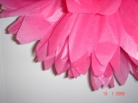 DSC02082.JPG