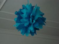 DSC02004.jpg
