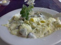20080315025.jpg