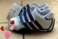 10042008288.jpg