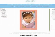 www.anavini.com.jpg