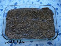 كيكة الجالكسي لجارة القمر.jpg