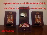 ٠٩٠٩٢٠٠٨٥٢٨.jpg