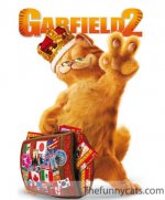 garfield.jpg