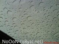 DSC02420.JPG