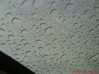DSC02411.JPG