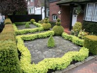 Front_garden_June_08.jpg