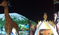 14112008247.jpg