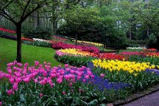 Keukenhof-1010.jpg