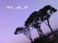 Photo---2.JPG