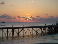 DSC00124.JPG