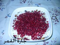سلطة الجرجير 20092.jpg