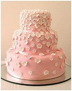 butterflyblossomweddingcake.jpg