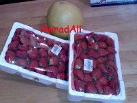 20090203134.jpg