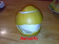 20090203135.jpg