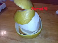 20090203136.jpg