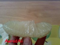 20090203139.jpg