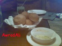 20090212159.jpg