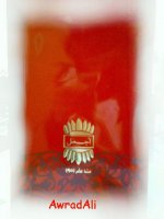 20090303284.jpg