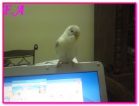 Desktop_00002.jpg