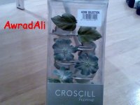 20090502651.jpg