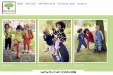 www.mulberribush.com.jpg