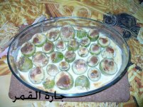طبق الكوسا بالكريمه.jpg