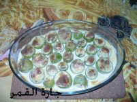 طبق الكوسا بالكريمه2.jpg
