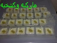 محلبيه 1.jpg