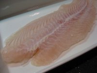 IMG_2025.JPG