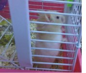IMG00417-20100531-2329x.JPG