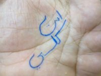 20100616232.jpg