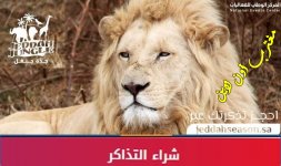 شراء تذاكر جدة جنغل.jpg