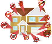 Milberger-Pest-Control-Slider-house-insect.png