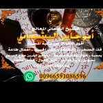 behance_project_1672960176815.jpg
