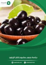 دراسة-جدوى-مشروع-مزرعة-الأبقار-ومعمل-الحليب-724x1024.jpg