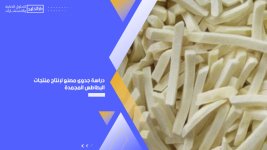 دراسة جدوى مصنع لإنتاج منتجات البطاطس المجمدة.jpg