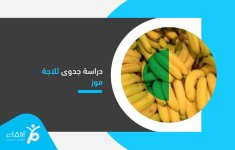 دراسة جدوى ثلاجة موز.jpg