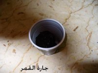 صوص الكاكاو فوق السويسرول لحلي الشتلات.jpg