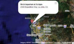 birch aquarium1.JPG