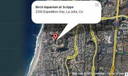 birch aquarium2.JPG