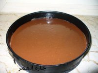 صورة رقم2 لكيكة الآيس كريم بالآريو.jpg