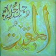 ذات الهمة العالية