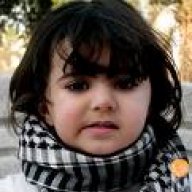 الـــكـــادي