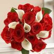 شووشوو الحلووه