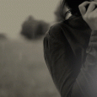 شموخ الحجاز